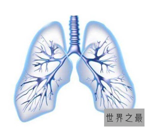 海尔优家申请大语言模型数据分析任务拆分专利可提高数据分析的准确性和效率(图1)